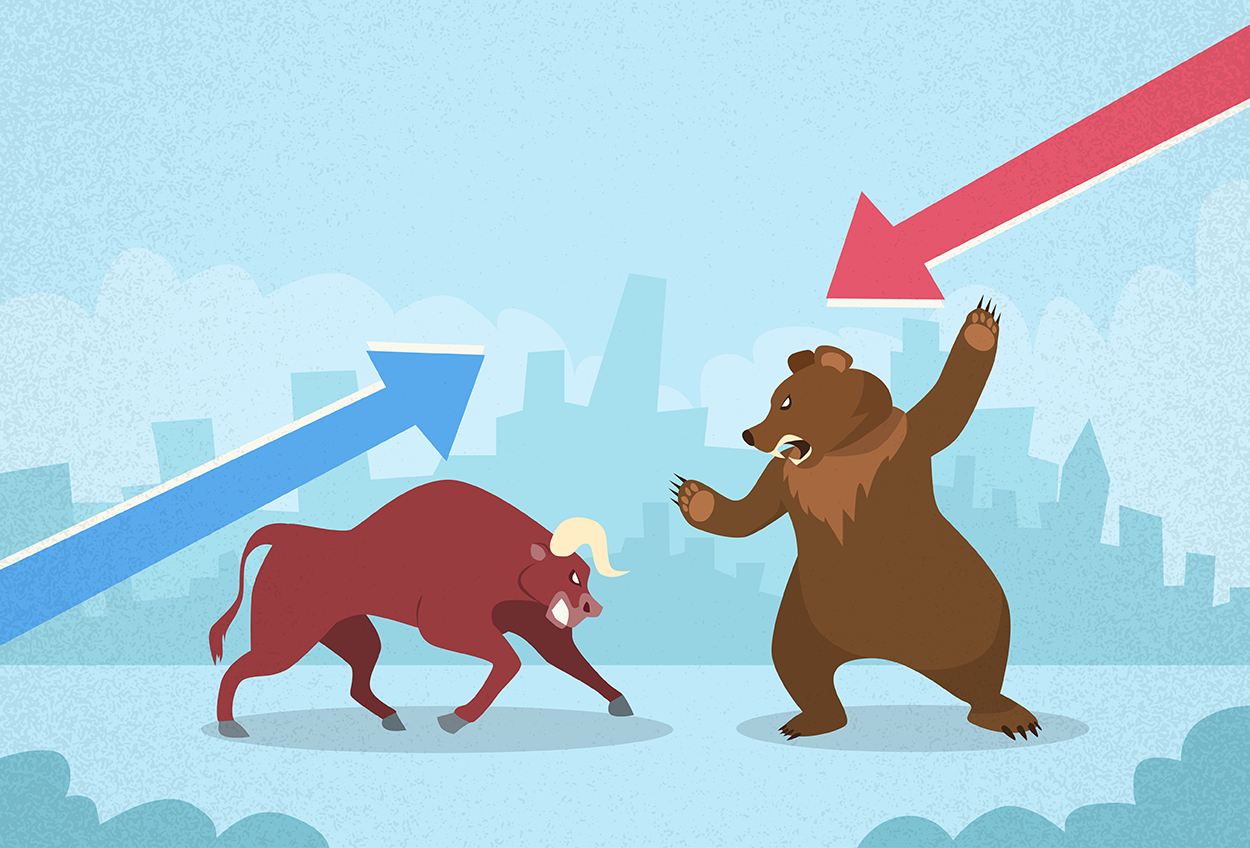 Bull vs Bear.