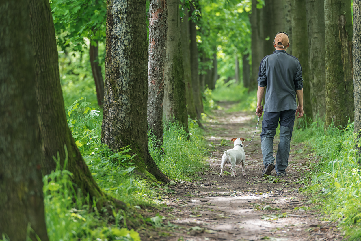 Walking With a Dog.